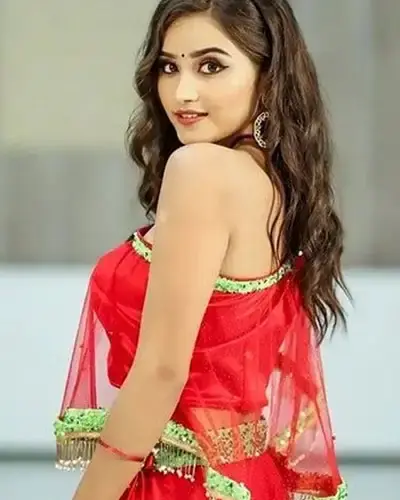 Escort In Lakdikapool